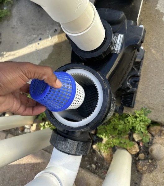 Pool Maintenance in Trinity, FL (1)
